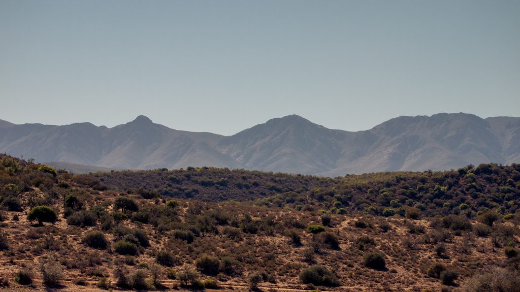 Leckyphotos Zuid Afrika