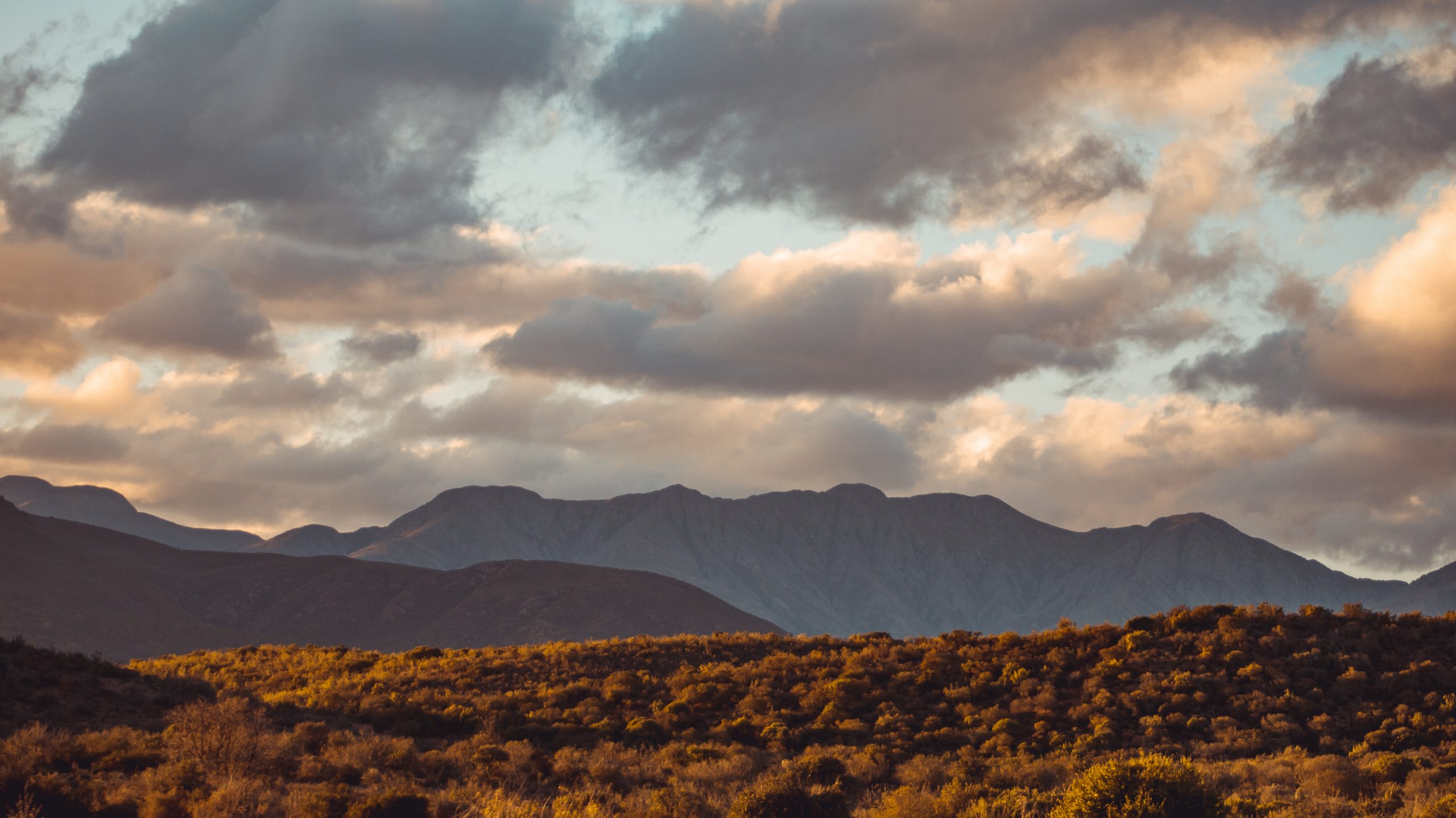 Leckyphotos Zuid Afrika