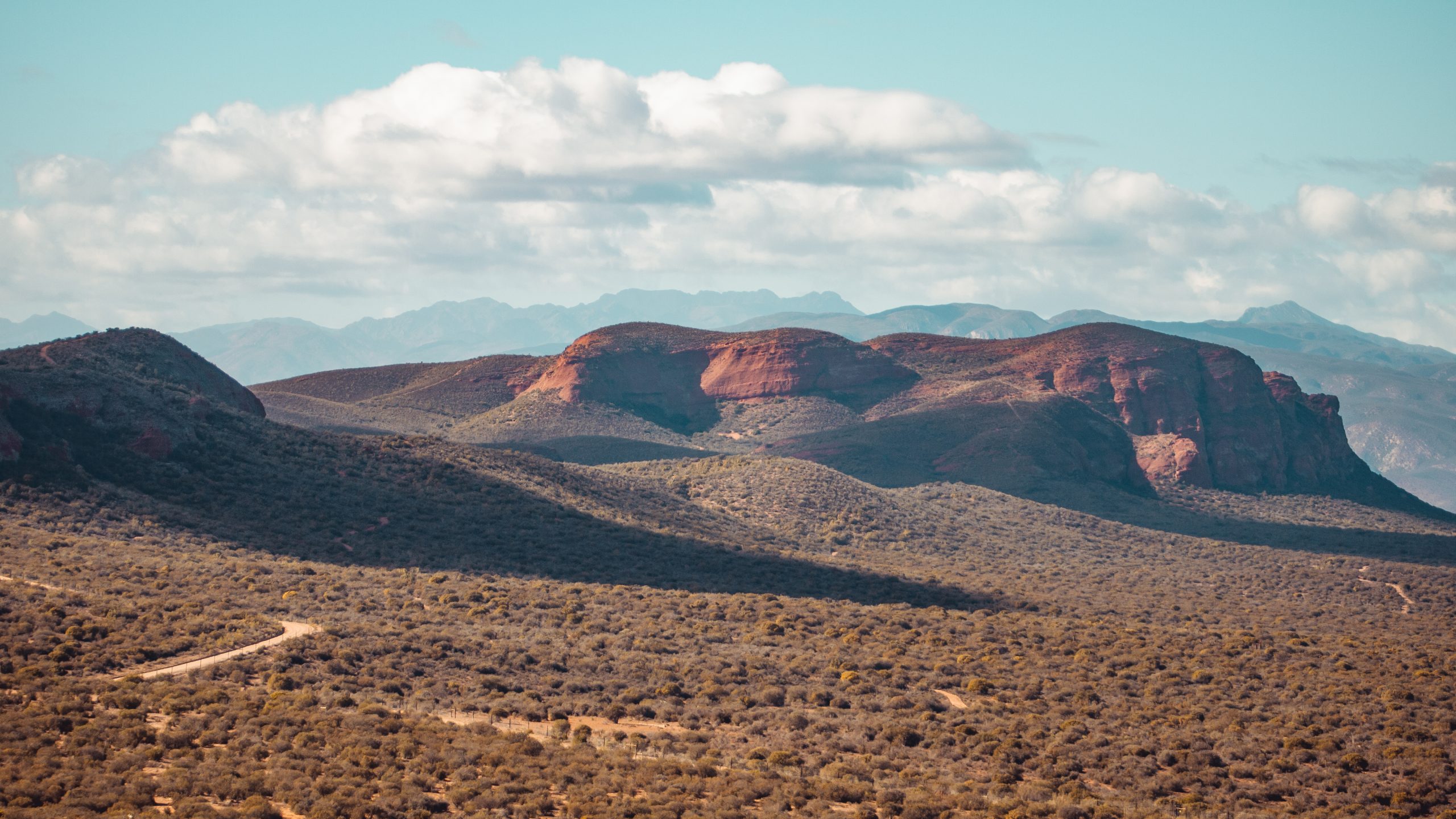 Leckyphotos Zuid Afrika