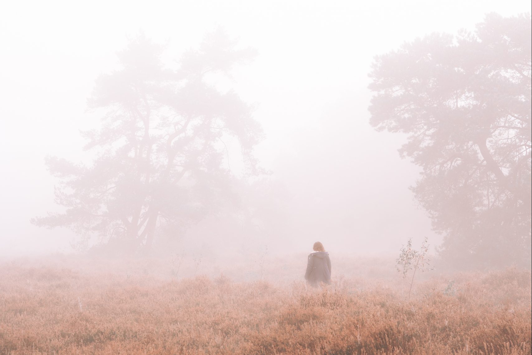 Nederland landschap fotografie natuur