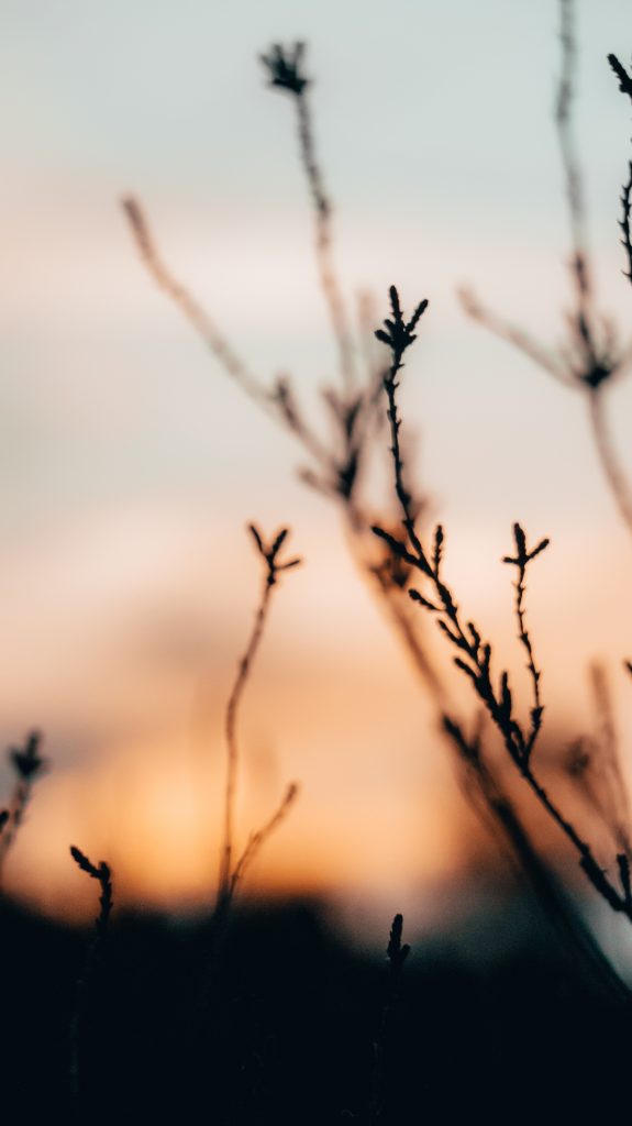 Nederland landschap fotografie natuur