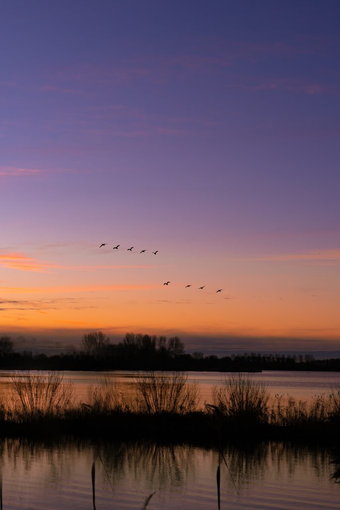 Leckyphotos Nederland