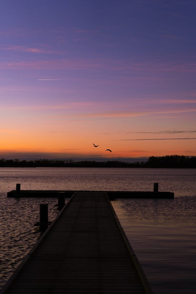 Leckyphotos Nederland