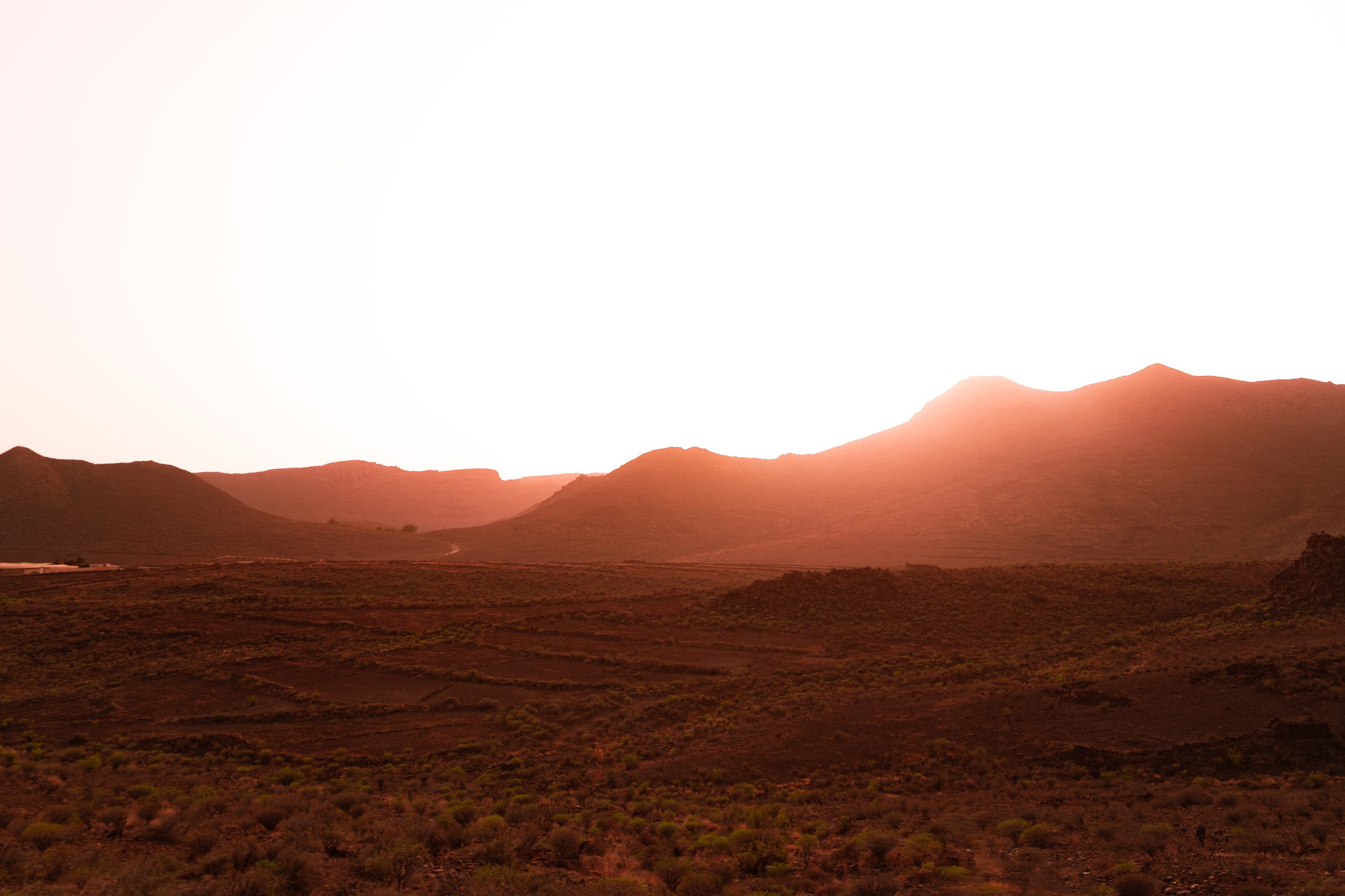 Leckyphotos Gran Canaria